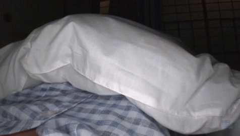 【合法ロリGIF】性に目覚めた中学生が逆夜這いっ！前髪パッツンの姪っ子に中出ししてもうたｗｗｗｗ その1